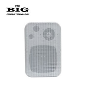 Настенная акустика BIG MSBPA4 WHITE100V - вид 1 миниатюра