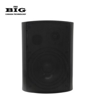 Настенная акустика BIG MSB504-100V BLACK - вид 2 миниатюра