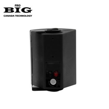 Настенная акустика BIG MSB504-100V BLACK - вид 4 миниатюра