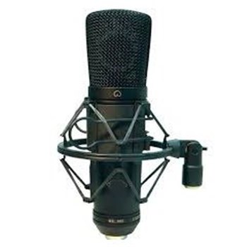 Микрофон BIG ESY910 Condenser Mic - вид 1 миниатюра