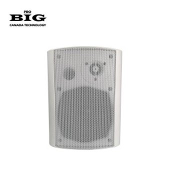 Настенная акустика BIG MSB408-100V WHITE - вид 1 миниатюра