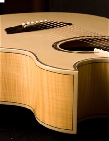 Электроакустическая гитара Washburn EA20SDL - вид 1 миниатюра