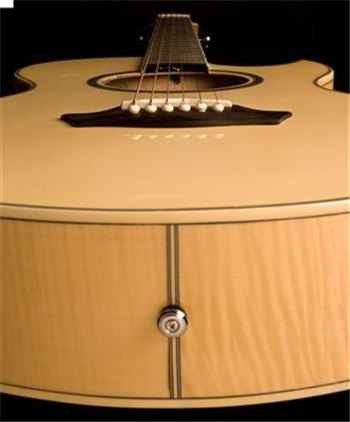 Электроакустическая гитара Washburn EA20SDL - вид 3 миниатюра