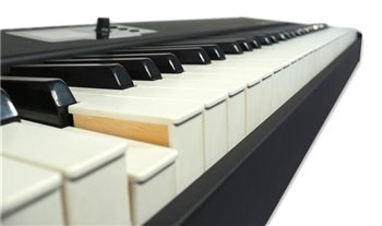 MIDI-клавиатура Fatar-Studiologic SL88 Grand - вид 4 миниатюра