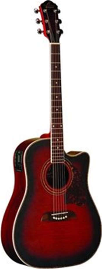 Электроакустическая гитара Washburn OG2CEFBC - вид 1 миниатюра