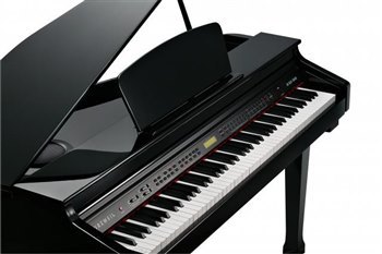 Цифровой рояль Kurzweil KAG-100 EP - вид 1 миниатюра