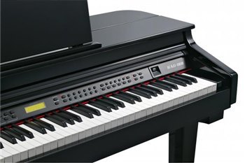 Цифровой рояль Kurzweil KAG-100 EP - вид 5 миниатюра