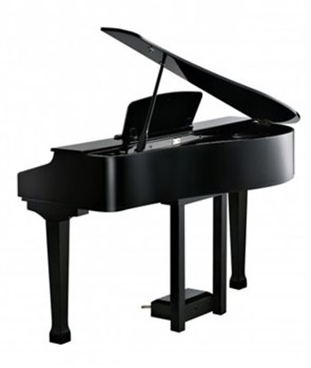 Цифровой рояль Kurzweil KAG-100 EP - вид 11 миниатюра