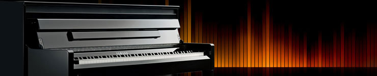 Цифрове піаніно Yamaha Clavinova CLP-645 купити