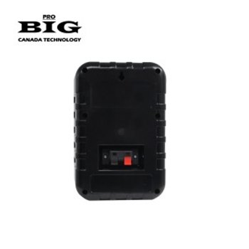 Настенная акустика BIG MSBPA4 BLACK 100V - вид 3 миниатюра