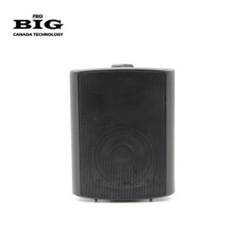 Настенная акустика BIG MSB408-100V BLACK - вид 1 миниатюра