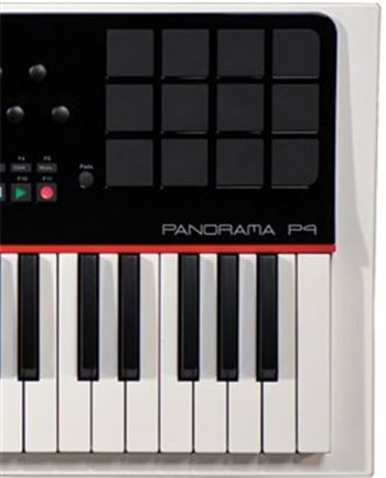 USB-MIDI клавиатура-контроллер Nektar Panorama P4 - вид 9 миниатюра