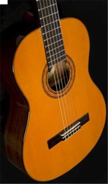 Классическая гитара Washburn C5 - вид 7 миниатюра
