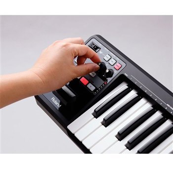 Midi-клавиатура Roland A-49-BK - вид 9 миниатюра