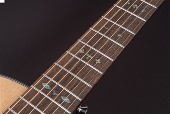 Акустическая гитара Washburn WP33SRS - вид 7 миниатюра