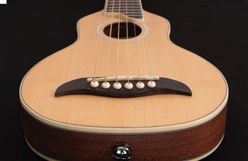 Акустическая гитара Washburn RO10SK - вид 3 миниатюра