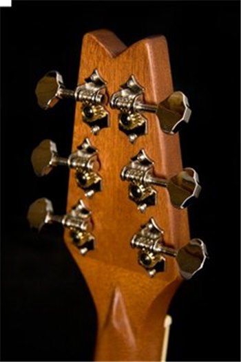 Акустическая гитара Washburn RO10SK - вид 13 миниатюра