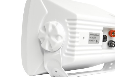 Настенная акустика 4all Audio WALL 420 IP 55 White - вид 7 миниатюра