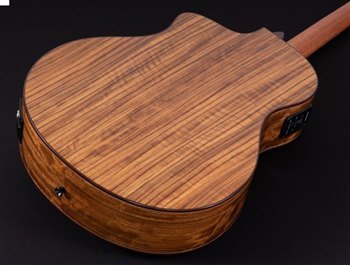 Электроакустическая гитара Washburn VITE S9V - вид 4 миниатюра