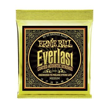 Струни для акустичної гітари 13-56 Ernie Ball P02554 - вид 1 мініатюра