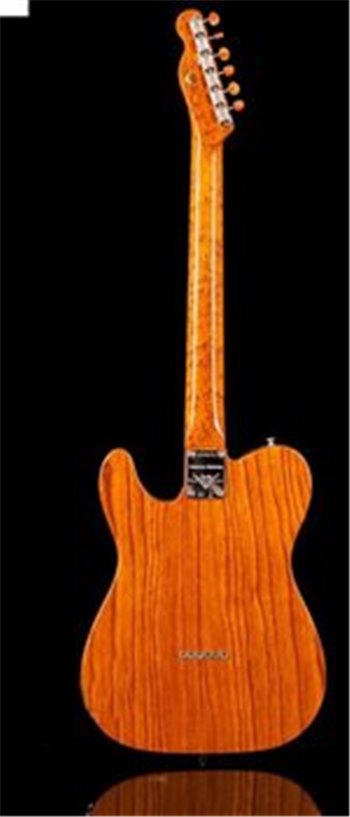 Электрогитара FENDER CUSTOM SHOP ARTISAN THINLINE TELE LTD - вид 4 миниатюра