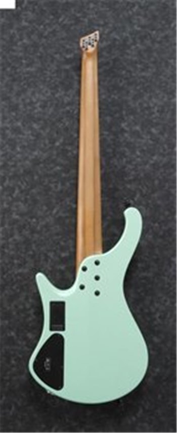 IBANEZ EHB1005MS SFM Бас-гитара - вид 1 миниатюра