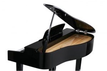 Цифровой рояль Kurzweil X-Pro MG EP - вид 1 миниатюра