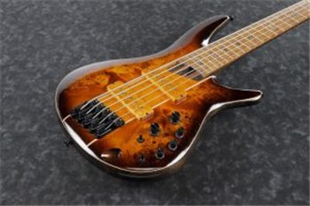 Бас-гитара IBANEZ SR5PBLTD DEL - вид 5 миниатюра