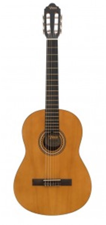 Классическая гитара VALENCIA VC202 - 1/2 - вид 1 миниатюра