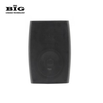 Настінна акустика BIG MSB810-8Ohm/100V BLACK 180W - вид 1 мініатюра