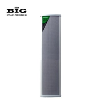 Настінна акустика BIG TOWER120 + 4 COXIAL TWEETERS - вид 1 мініатюра