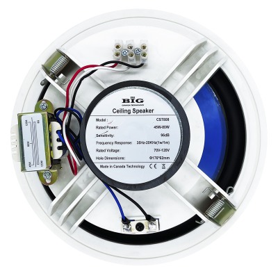 Потолочный динамик CST808+ ВЧ твитер (2х полосная) - вид 1 миниатюра