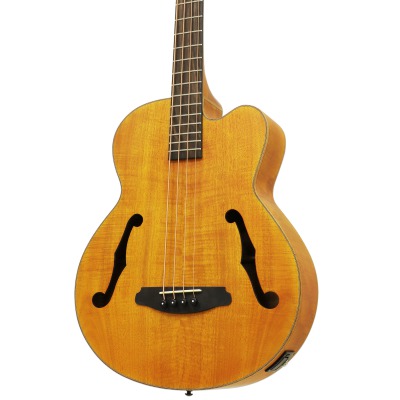 Электроакустическая бас гитара Aria FEB-F2M STBR - вид 1 миниатюра