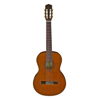 Акустическая гитара Aria A-20 N - вид 1 миниатюра