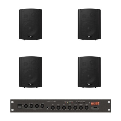 Комплект звука DV audio LA804PB5B для помещения до 80м.кв - вид 1 миниатюра