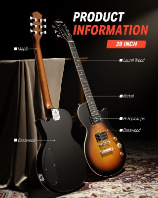 Електрогітара Donner Music DLP-124 Sunburst - вид 6 мініатюра