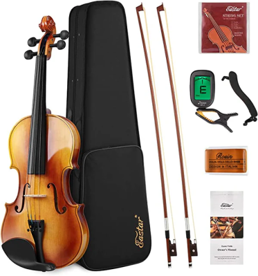 Скрипка Donner Music Eastar EVA-330 4/4 Solid Wood - вид 1 миниатюра